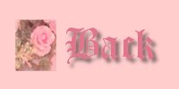 back.jpg